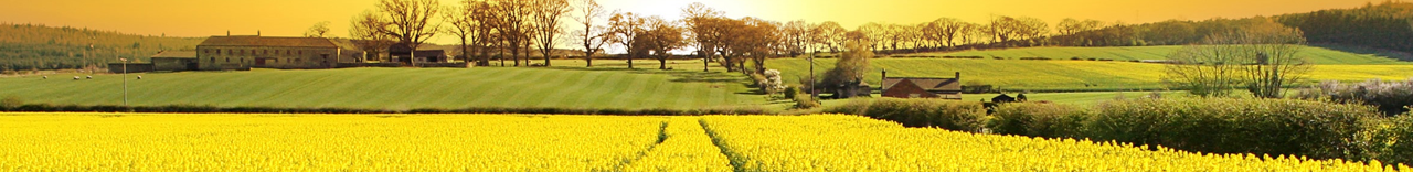 Agronomiques Agronomiques
