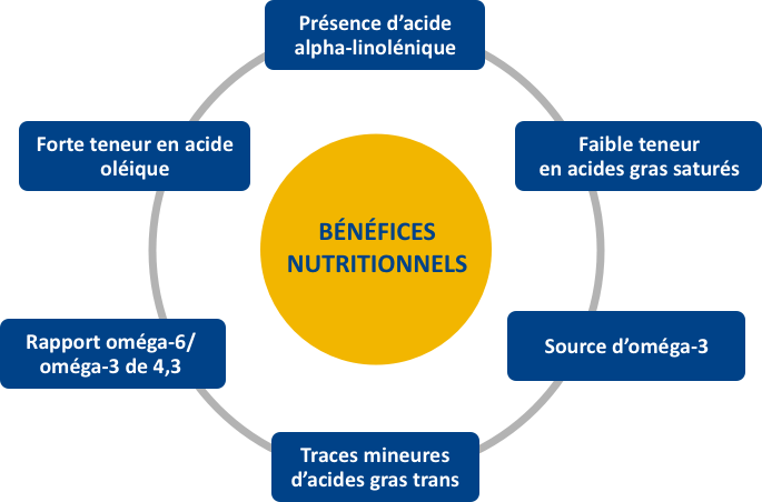 Bénéfices nutritionnels de l'huile Holl Bénéfices nutritionnels de l'huile Holl