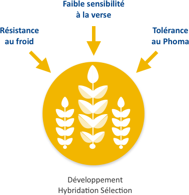 Performance Stability Schema Performance Stability Schema