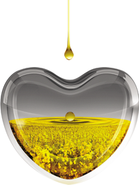 Acide Oleique HOLL